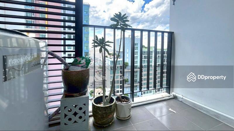 ขาย - The Sky Sukhumvit : เดอะ สกาย สุขุมวิท, กรุงเทพ