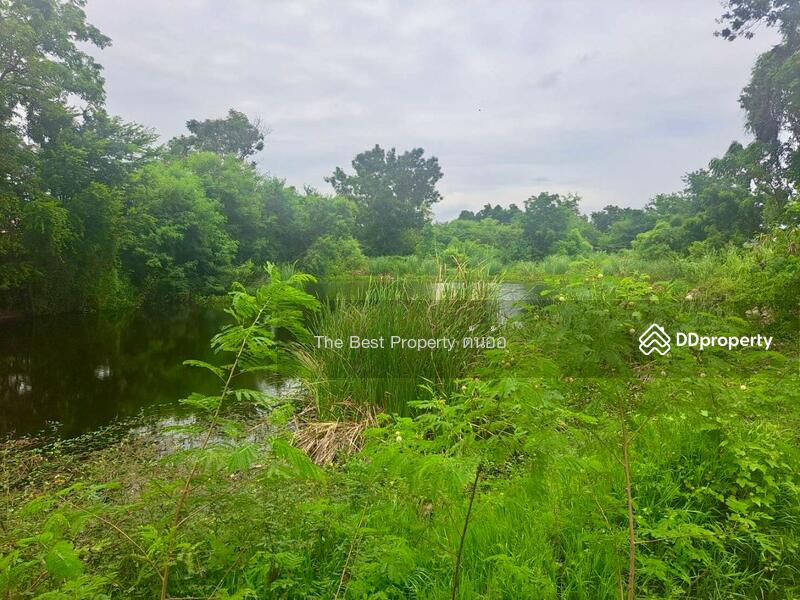 For Sale - ที่ดินตาคลี นครสวรรค์, Nakhon Sawan