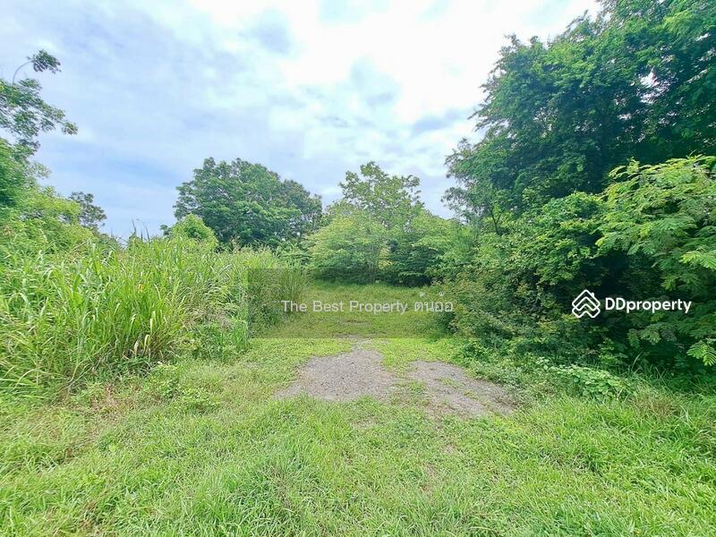 For Sale - ที่ดินตาคลี นครสวรรค์, Nakhon Sawan