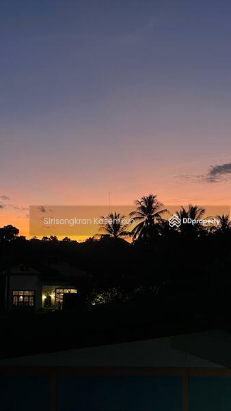 ขาย - Ko Pha-Ngan, สุราษฎร์ธานี