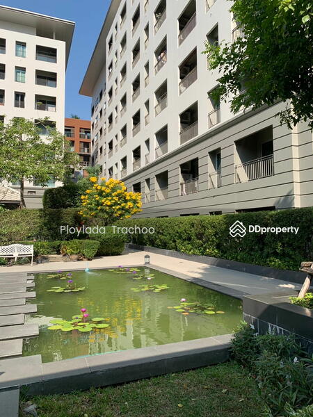 ขาย - The Seed Memories Siam : เดอะ ซี้ด เมมโมรี่ สยาม, กรุงเทพ