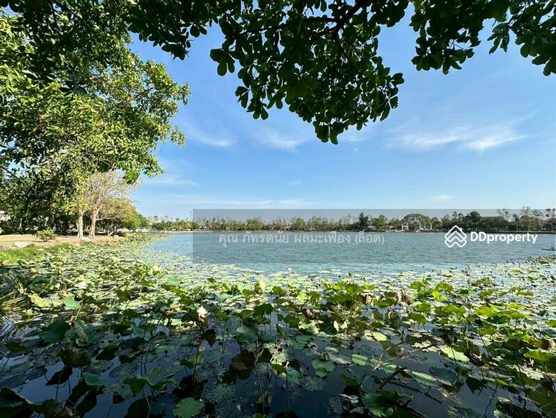 ขาย - Chonlada Bangbuathong : ชลลดา บางบัวทอง, นนทบุรี