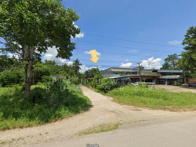 ขาย - ท่าแซะ ชุมพร ใกล้ถนนเพชรเกษม, ชุมพร