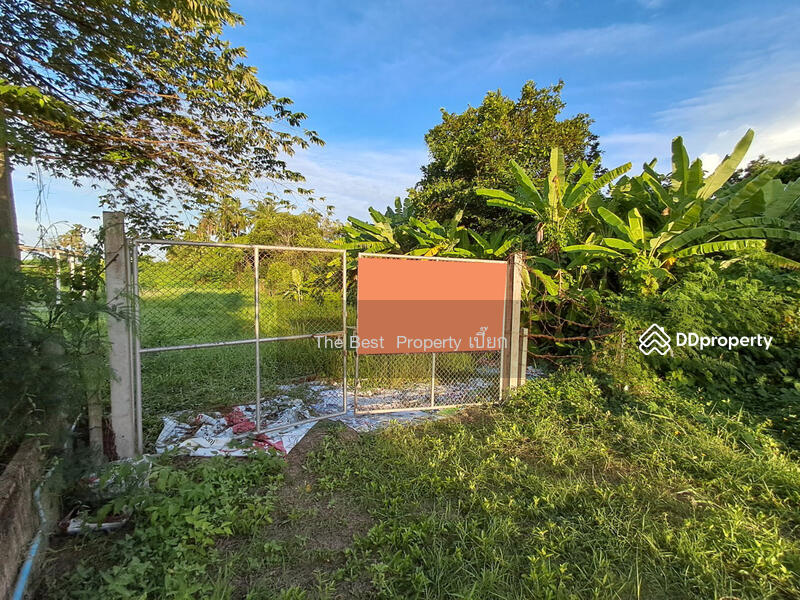 ขาย - ที่ดินโพธาราม ราชบุรี, ราชบุรี