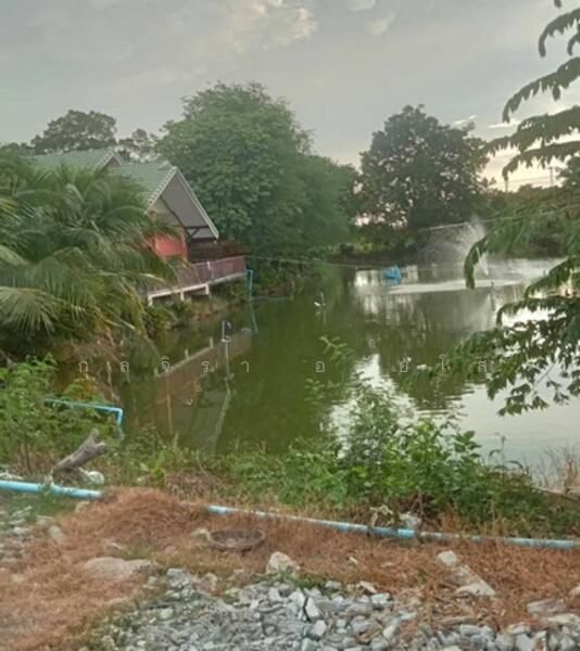 ให้เช่า - บางปลา, นครปฐม