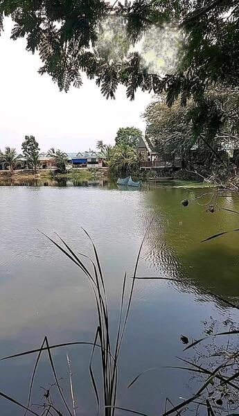 ให้เช่า - บางปลา, นครปฐม