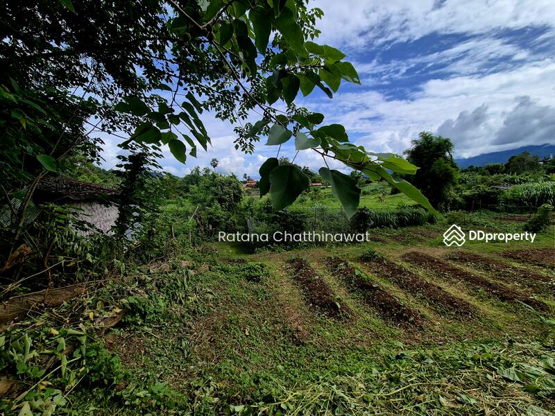 For Rent - Land 1 Rai in Pai for rent 10,000/month, Mae Hong Son