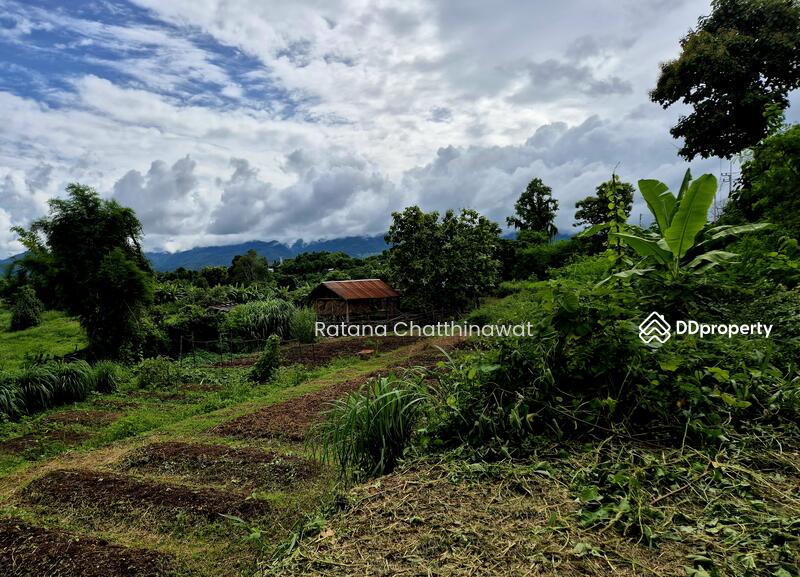 For Rent - Land 1 Rai in Pai for rent 10,000/month, Mae Hong Son
