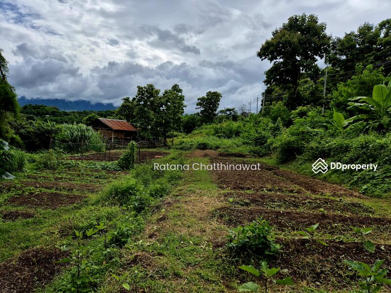 For Rent - Land 1 Rai in Pai for rent 10,000/month, Mae Hong Son