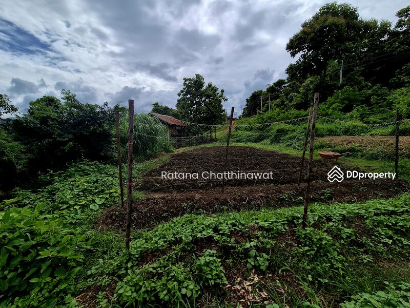 For Rent - Land 1 Rai in Pai for rent 10,000/month, Mae Hong Son