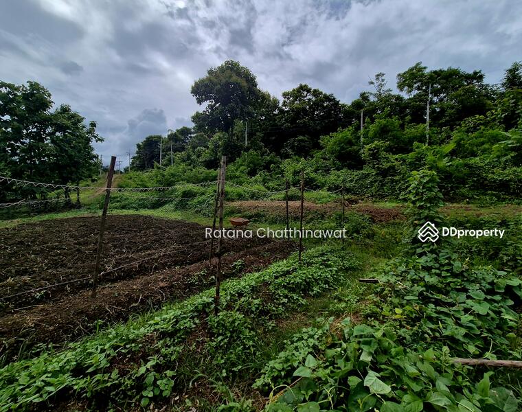 For Rent - Land 1 Rai in Pai for rent 10,000/month, Mae Hong Son