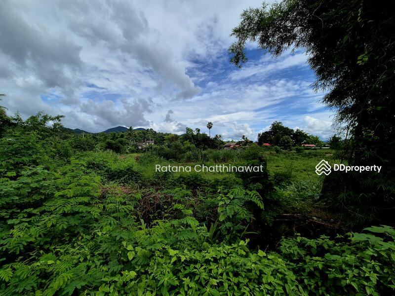 For Rent - Land 1 Rai in Pai for rent 10,000/month, Mae Hong Son