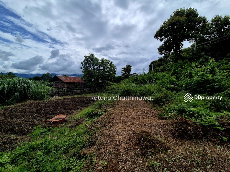 For Rent - Land 1 Rai in Pai for rent 10,000/month, Mae Hong Son