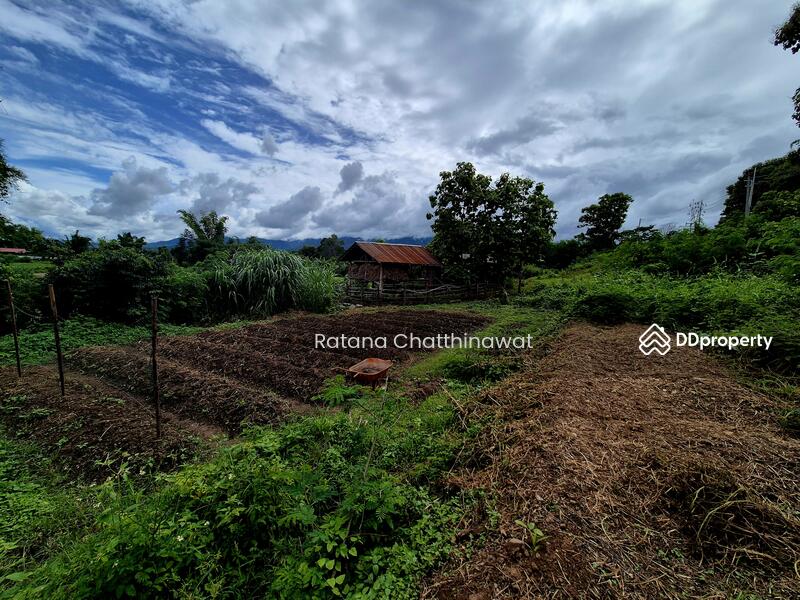 For Rent - Land 1 Rai in Pai for rent 10,000/month, Mae Hong Son