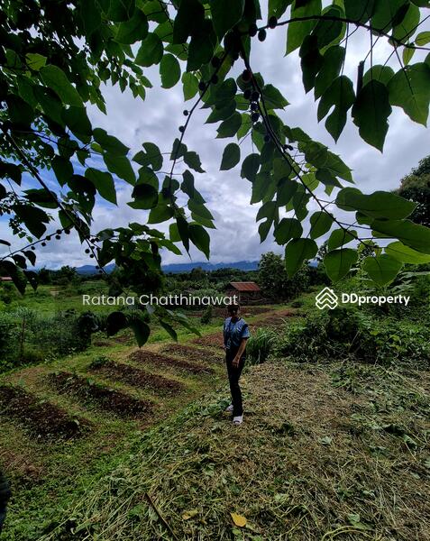 For Rent - Land 1 Rai in Pai for rent 10,000/month, Mae Hong Son