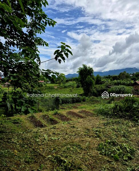 For Rent - Land 1 Rai in Pai for rent 10,000/month, Mae Hong Son