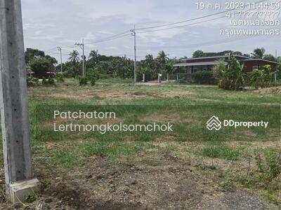 ขาย - ขายที่ดินคลอง12 หนองจอก มิตรไมตรี6 ถนนประชาสำราญ, กรุงเทพ