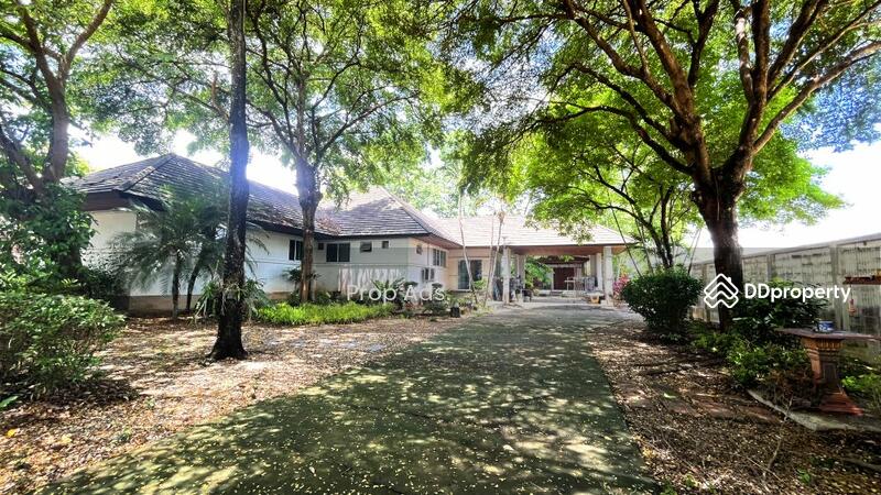 For Sale - ขายโกดังพร้อมสำนักงาน ทำเลดี เดินทางสะดวก ใกล้แยกสารฎีขาเข้าเชียงใหม่, Chiang Mai