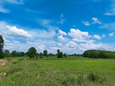 ขาย - ต.หนองกี่ อ.กบินทร์บุรี จ.ปราจีนบุรี, ปราจีนบุรี