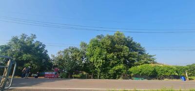 ขาย - ที่ดินบ้านสร้าง ปราจีนบุรี, ปราจีนบุรี