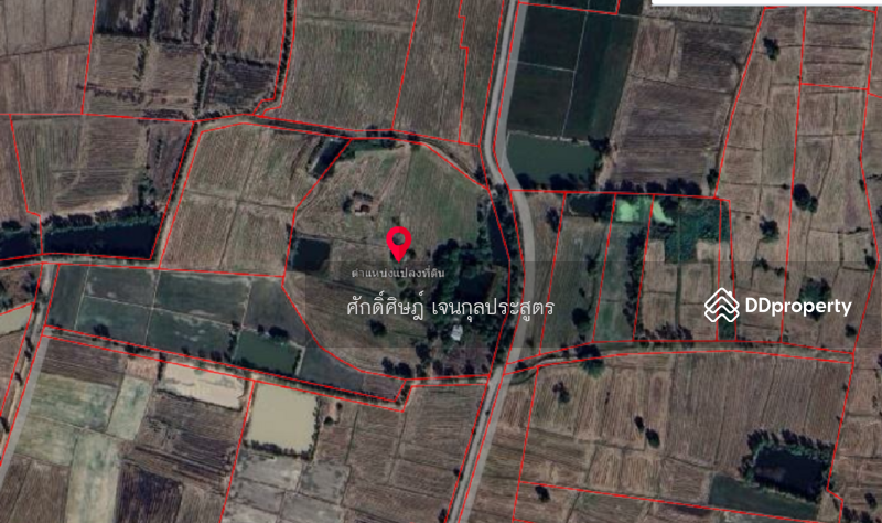 For Sale - Land for sale, 23 rai, Nong Bua, next to the road, very cheap price, Nakhon Sawan