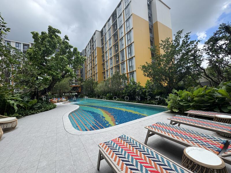 The Base Rise, Phuket, Wichit, Muang Phuket, Phuket, 1 Bedroom, 30 sqm, Condo For Rent, by Sirirat Boonpitak , 60075200 - DDproperty.com