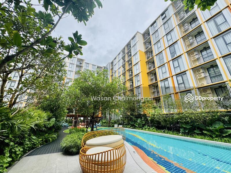 For Sale - The Base Rise, Phuket
