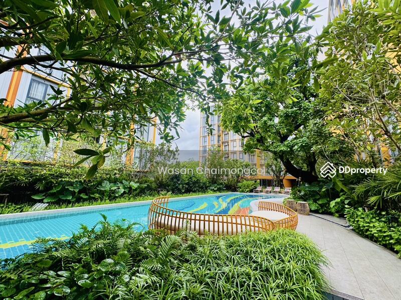 For Sale - The Base Rise, Phuket