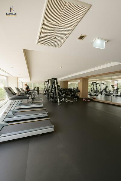 Belgravia Residences : เบลเกรเวีย เรสซิเดนท์ส, กรุงเทพ, 30/1 ถนนสุขุมวิท, คลองตัน, คลองเตย, กรุงเทพ, 298 ตร.ม., คอนโด ให้เช่า, โดย Eastblue Horizon, 60076296 - DDproperty.com