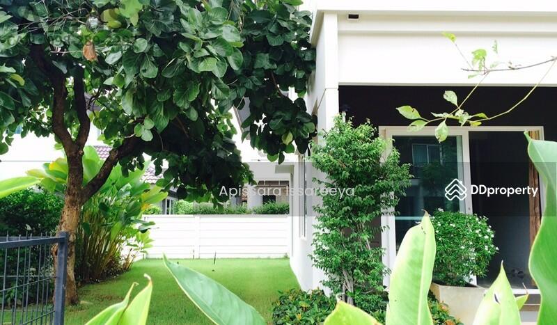 For Rent - Inizio Maliwan Road, Khon Kaen