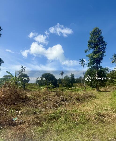 For Sale - Seaview Flat land in Chaweng, Koh Samui for Sale, Surat Thani