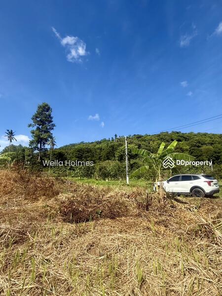 For Sale - Seaview Flat land in Chaweng, Koh Samui for Sale, Surat Thani