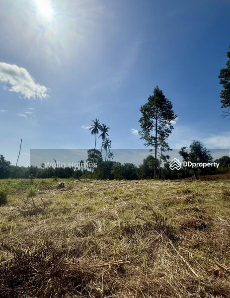 For Sale - Seaview Flat land in Chaweng, Koh Samui for Sale, Surat Thani