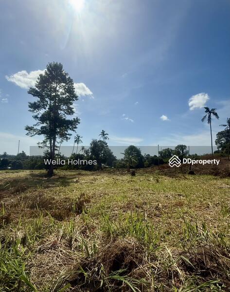 For Sale - Seaview Flat land in Chaweng, Koh Samui for Sale, Surat Thani