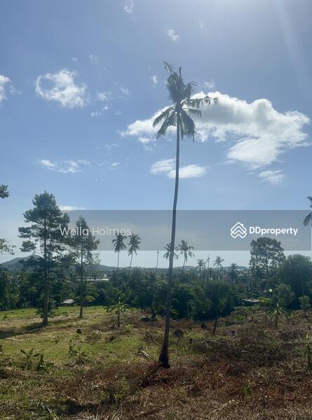 For Sale - Seaview Flat land in Chaweng, Koh Samui for Sale, Surat Thani