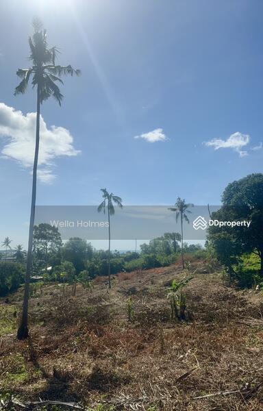 For Sale - Seaview Flat land in Chaweng, Koh Samui for Sale, Surat Thani