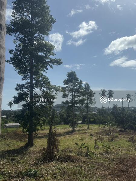 For Sale - Seaview Flat land in Chaweng, Koh Samui for Sale, Surat Thani