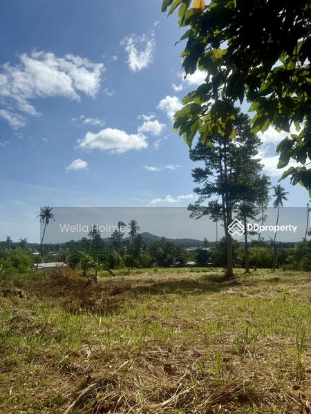 For Sale - Seaview Flat land in Chaweng, Koh Samui for Sale, Surat Thani