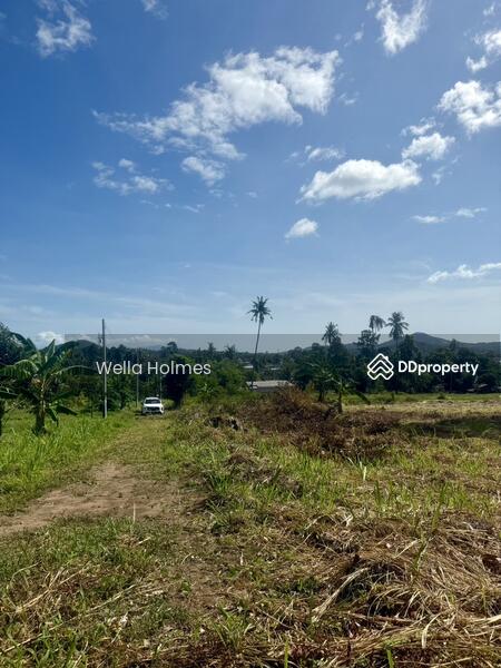 For Sale - Seaview Flat land in Chaweng, Koh Samui for Sale, Surat Thani