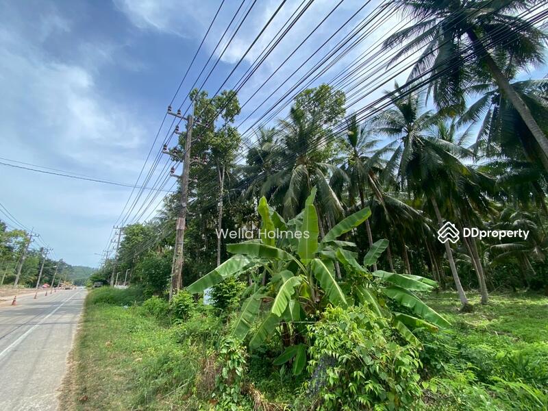 ให้เช่า - 84140, สุราษฎร์ธานี