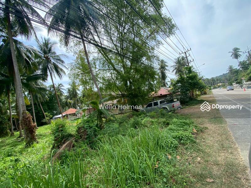 For Rent - Flat Land in Taling Ngam for Lease, Surat Thani