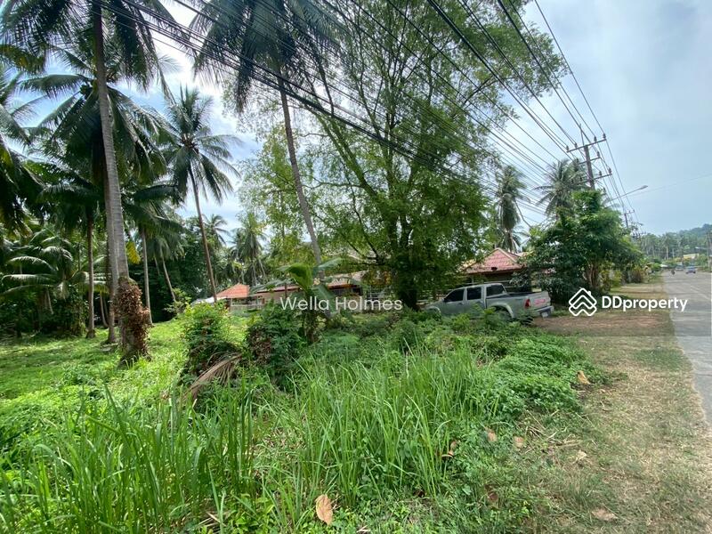 For Rent - Flat Land in Taling Ngam for Lease, Surat Thani