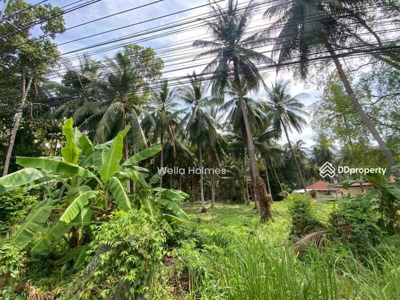 For Rent - Flat Land in Taling Ngam for Lease, Surat Thani