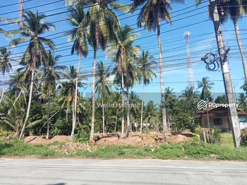 For Rent - Flat Land in Taling Ngam for Lease, Surat Thani