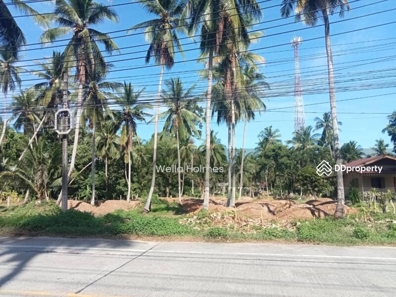 ให้เช่า - 84140, สุราษฎร์ธานี