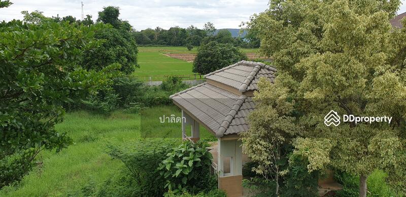 ขาย - 86 ม.7 แม่ใจ พะเยา, พะเยา