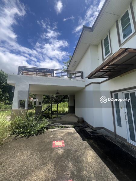 ขาย - 86 ม.7 แม่ใจ พะเยา, พะเยา