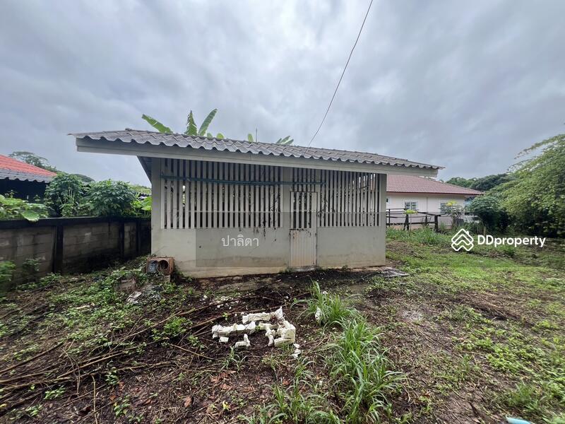 For Sale - 439 ม.8 เชียงคำ พะเยา, Phayao