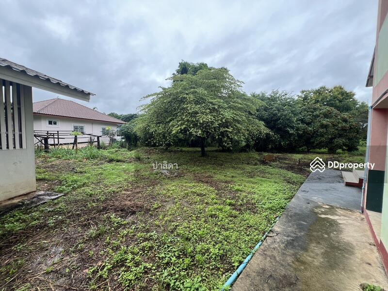For Sale - 439 ม.8 เชียงคำ พะเยา, Phayao