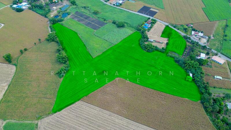 Khao Yai – Wang Sai Land with Million-Dollar Views, Starlit Nights, Near My Ozone & Mövenpick, Nakhon Ratchasima, Wang Zai, Pak Chong, Nakhon Ratchasima, , 57,136 sqm, Land For Sale, by Rattanathorn Saetae, 60077338 - DDproperty.com